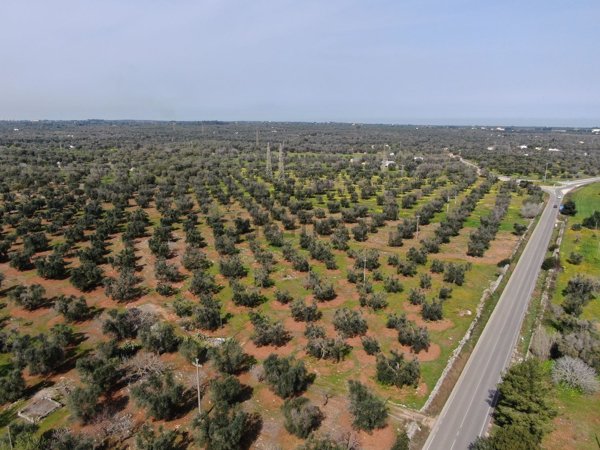 casa indipendente in vendita a San Vito dei Normanni