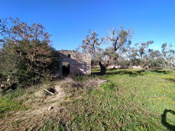 terreno agricolo in vendita a San Vito dei Normanni