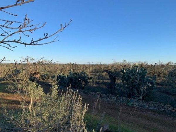 casa indipendente in vendita a San Vito dei Normanni