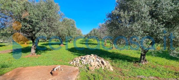 casa indipendente in vendita a San Vito dei Normanni