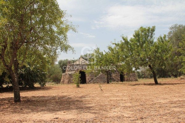 quadrivano in vendita a San Vito dei Normanni