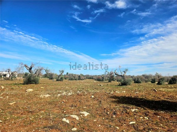 casa indipendente in vendita a San Vito dei Normanni