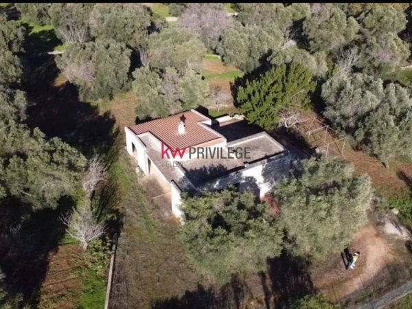 casa indipendente in vendita a San Vito dei Normanni