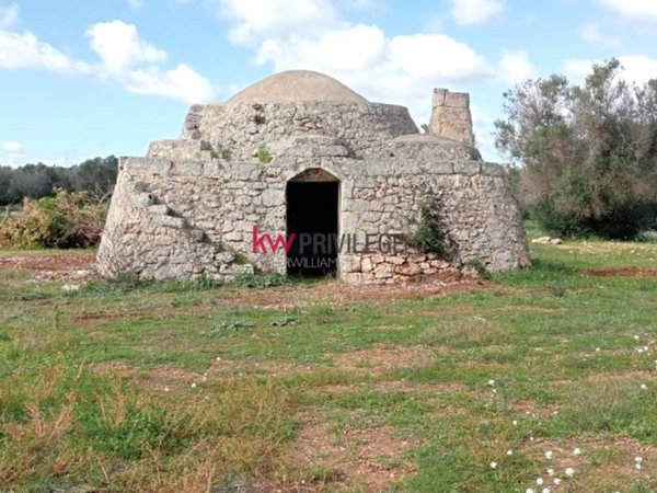 terreno agricolo in vendita a San Vito dei Normanni