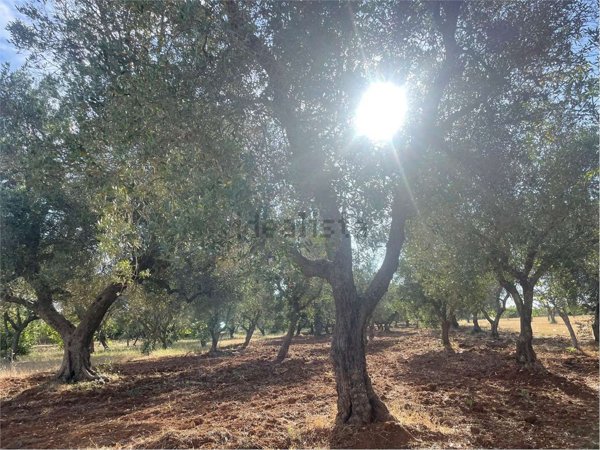 casa indipendente in vendita a San Vito dei Normanni