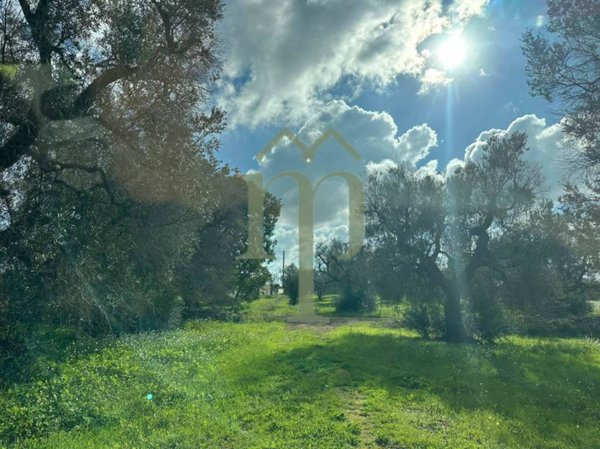 terreno agricolo in vendita a San Vito dei Normanni