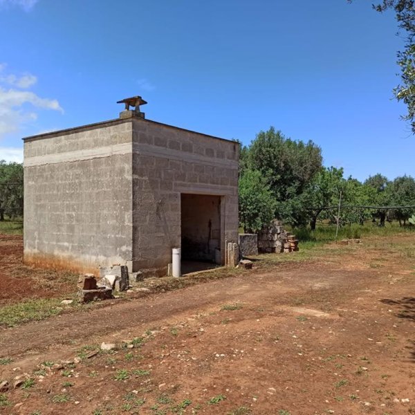 terreno agricolo in vendita a San Vito dei Normanni