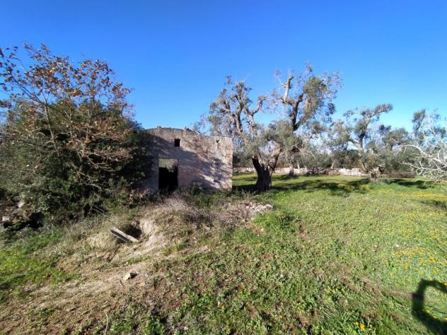 terreno agricolo in vendita a San Vito dei Normanni