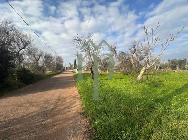 terreno agricolo in vendita a San Vito dei Normanni
