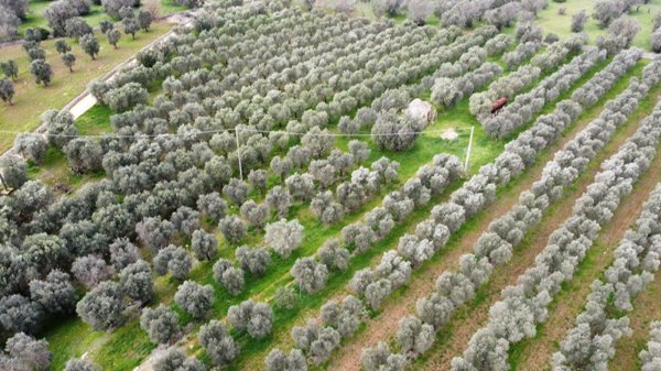 appartamento in vendita a San Vito dei Normanni