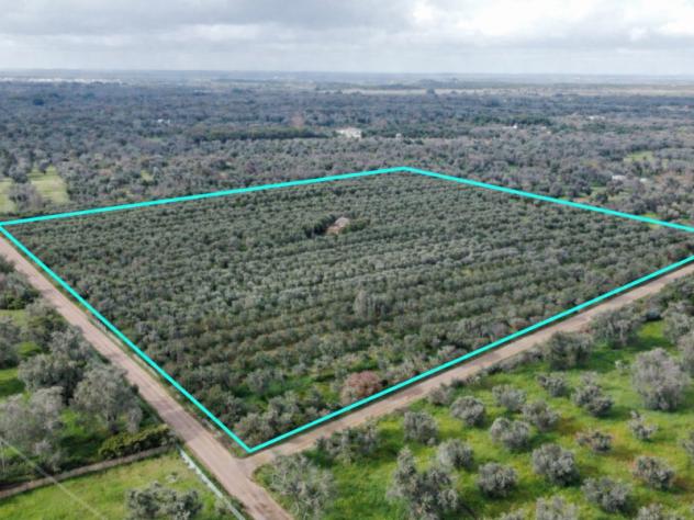 casa indipendente in vendita a San Vito dei Normanni