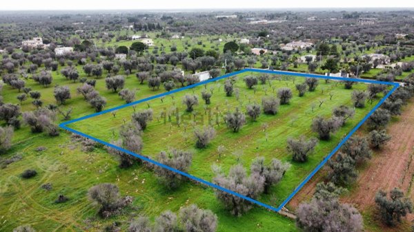 terreno agricolo in vendita a San Vito dei Normanni in zona Specchia di Mare
