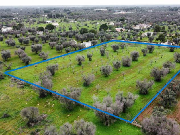 casa indipendente in vendita a San Vito dei Normanni in zona Specchia di Mare