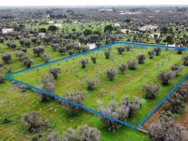 terreno agricolo in vendita a San Vito dei Normanni in zona Specchia di Mare