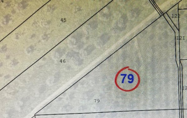 terreno agricolo in vendita a San Vito dei Normanni