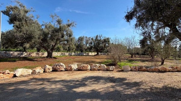 casa indipendente in vendita a San Vito dei Normanni