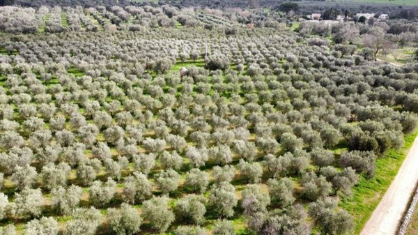 appartamento in vendita a San Vito dei Normanni