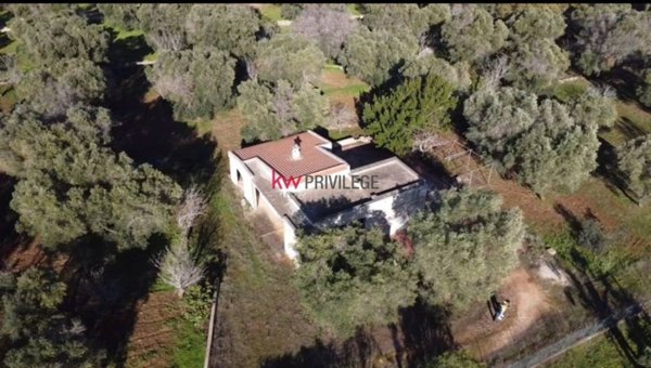 casa indipendente in vendita a San Vito dei Normanni