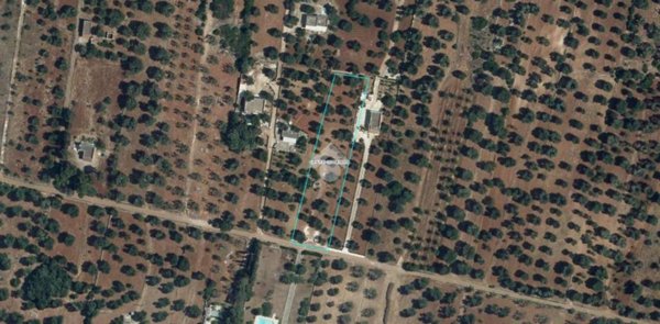 terreno agricolo in vendita a San Vito dei Normanni