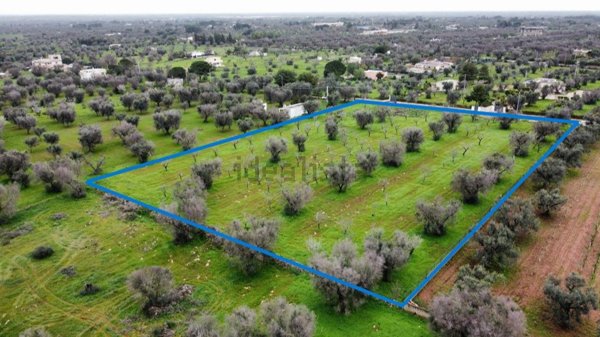 terreno agricolo in vendita a San Vito dei Normanni in zona Specchia di Mare