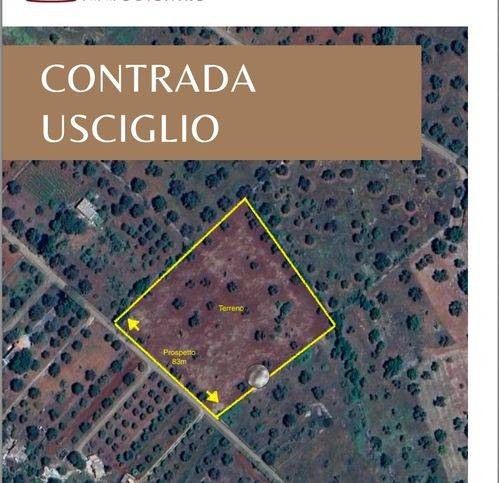 casa indipendente in vendita a San Vito dei Normanni