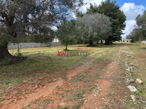 casa indipendente in vendita a San Vito dei Normanni