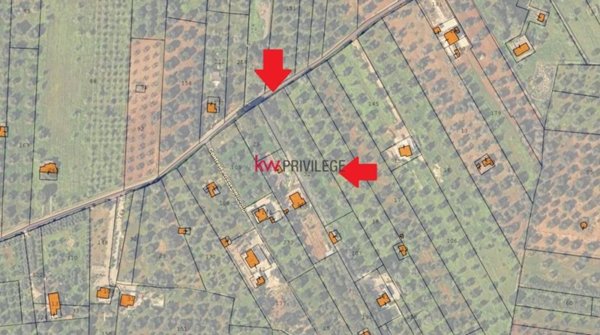 casa indipendente in vendita a San Vito dei Normanni