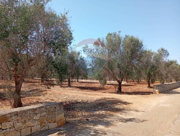 casa indipendente in vendita a San Vito dei Normanni