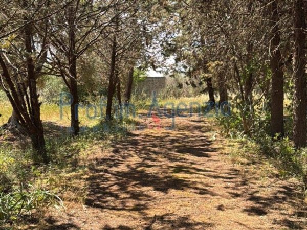 terreno agricolo in vendita a San Vito dei Normanni