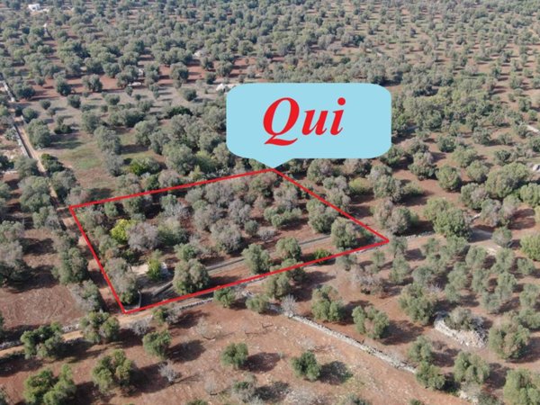 terreno agricolo in vendita a San Vito dei Normanni