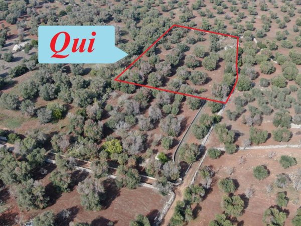 terreno agricolo in vendita a San Vito dei Normanni