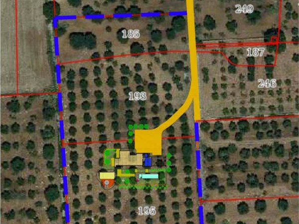 terreno agricolo in vendita a San Vito dei Normanni