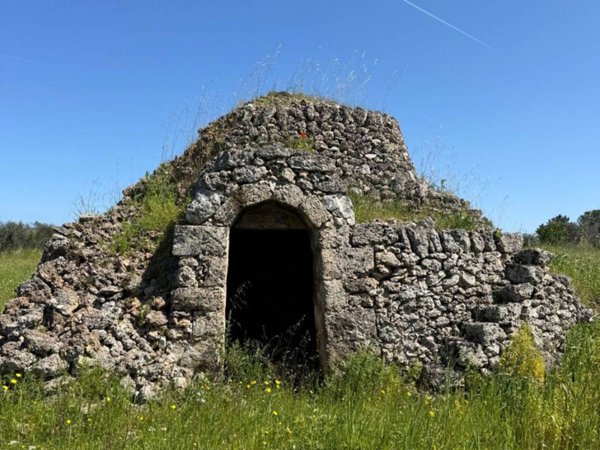 casa indipendente in vendita a San Vito dei Normanni