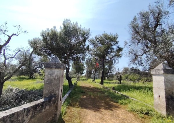 casa indipendente in vendita a San Vito dei Normanni