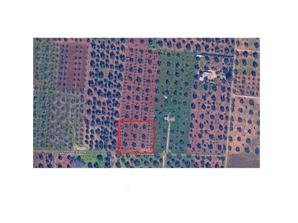 terreno agricolo in vendita a San Vito dei Normanni in zona San Giacomo