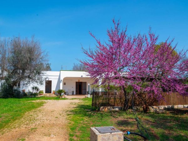 casa indipendente in vendita a San Vito dei Normanni