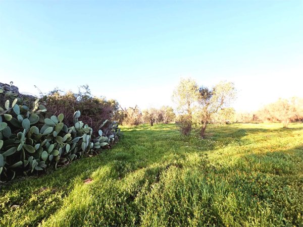 casa indipendente in vendita a San Vito dei Normanni