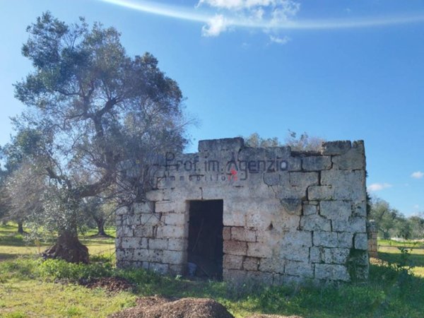casa indipendente in vendita a San Vito dei Normanni