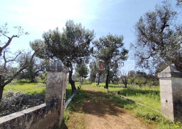 casa indipendente in vendita a San Vito dei Normanni