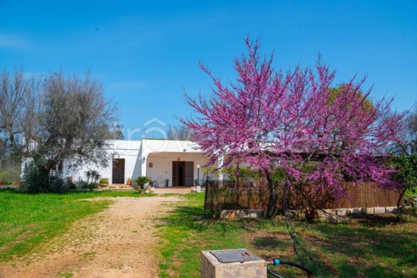 casa indipendente in vendita a San Vito dei Normanni
