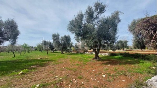 casa indipendente in vendita a San Vito dei Normanni