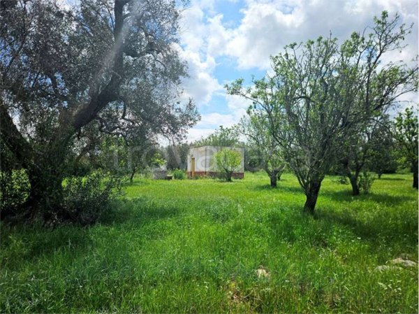 casa indipendente in vendita a San Vito dei Normanni