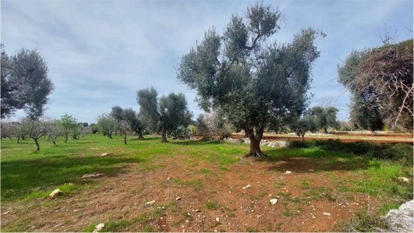 casa indipendente in vendita a San Vito dei Normanni