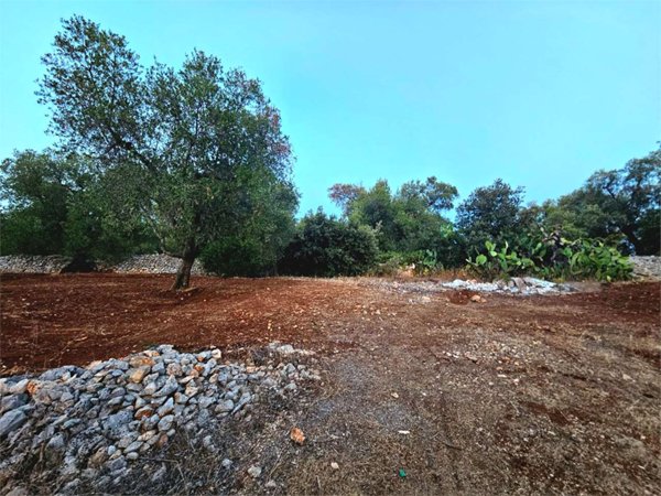 casa indipendente in vendita a San Vito dei Normanni