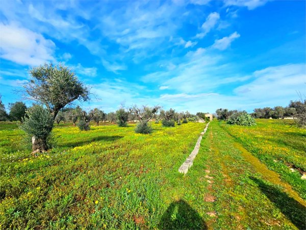 casa indipendente in vendita a San Vito dei Normanni