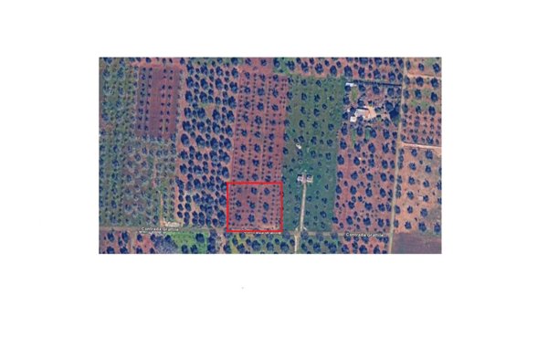 terreno agricolo in vendita a San Vito dei Normanni