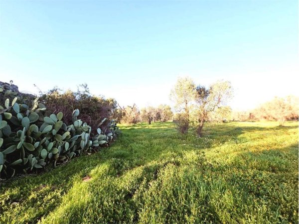 terreno agricolo in vendita a San Vito dei Normanni