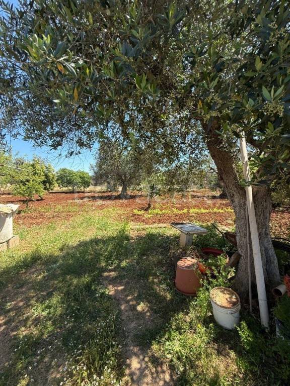 casa indipendente in vendita a San Vito dei Normanni