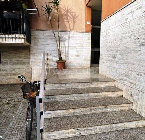 immagine annuncio 0 di 15