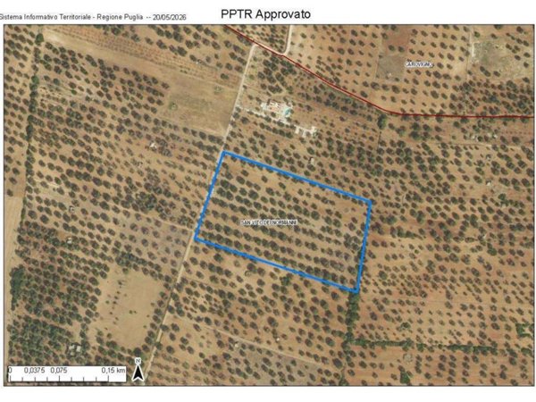 terreno agricolo in vendita a San Vito dei Normanni
